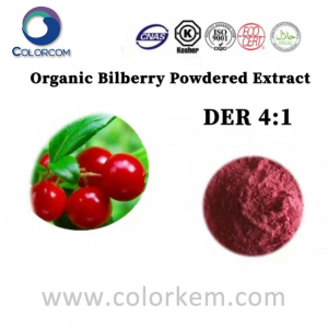 Økologisk blåbærpulverekstrakt 4：1 |84082-34-8