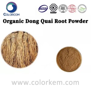 Polvo de raíz de Dong Quai orgánico