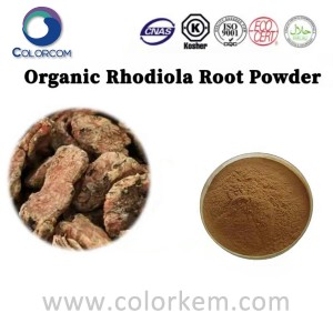 Polvo de raíz de rodiola orgánica |97404-52-9