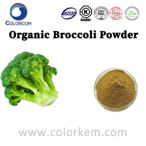 Brócoli en polvo orgánico