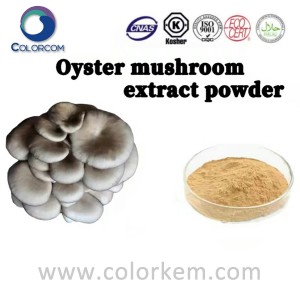 I-Oyster Mushroom Extract Powder
