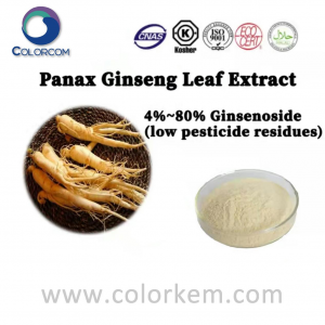 Panax Ginseng Leaf Extract 4%~80% Ginsenoside (maualalo mea e totoe o vailaau fa'asaina) |11021-14-0