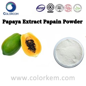 Papaya ekstrakt Papain pulver
