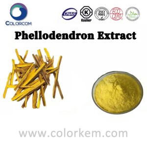 Ekstrak Phellodendron |6873-13-8