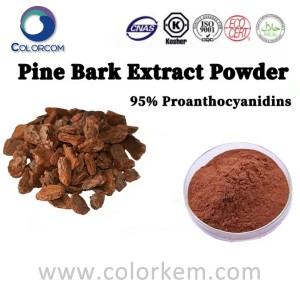 Pine Bark Extract Powder |133248-87-0