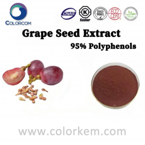 Estratto di semi d'uva 95% polifenoli