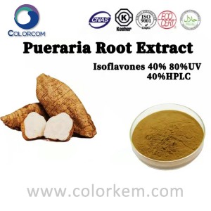 Extracto de raíz de Pueraria |5013-01-4