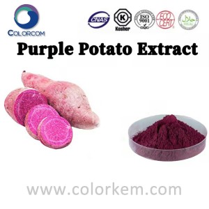 Purple Potato Extract
