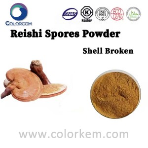 Reishi Spores Powder (Shell Broken)