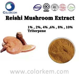 Reishi Mushroom Extract 1%, 2%, 4%, 6%, 8%, 10% Triterpene