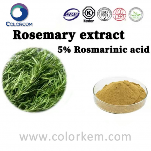 Detholiad Rosemary 5% Asid Rosmarinig |80225-53-2