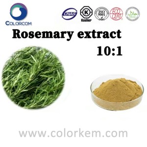 Rosemary Extract 10:1 |80225-53-2