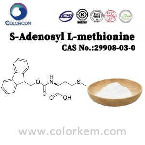 S-Adenosyl L-methionine | 29908-03-0