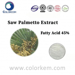 Saw Palmetto Extract Powder