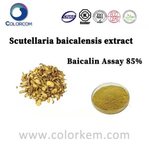 Scutellaria Baicalensis Extract Baicalin Assay 85٪ |21967-41-9