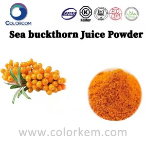 Sea Buckthorn Juice Extract Powder | 90106-68-6
