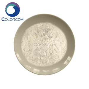 ಸೋಡಿಯಂ ಆಲ್ಜಿನೇಟ್ |9005-38-3