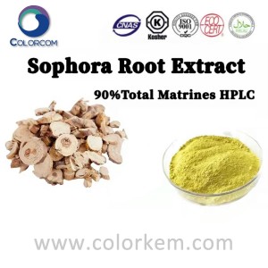 Earrann Root Sophora 90% Matrines Iomlan HPLC |16837-52-8