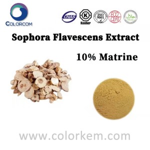 I-Sophora Flavescens Extract 10% Matrine |519-02-8