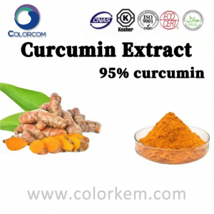 Estratto di curcuma 95% curcumina |339286-19-0