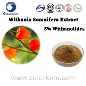 Ekstrak Withania Somnifera 5% Withanolides |56973-41-2