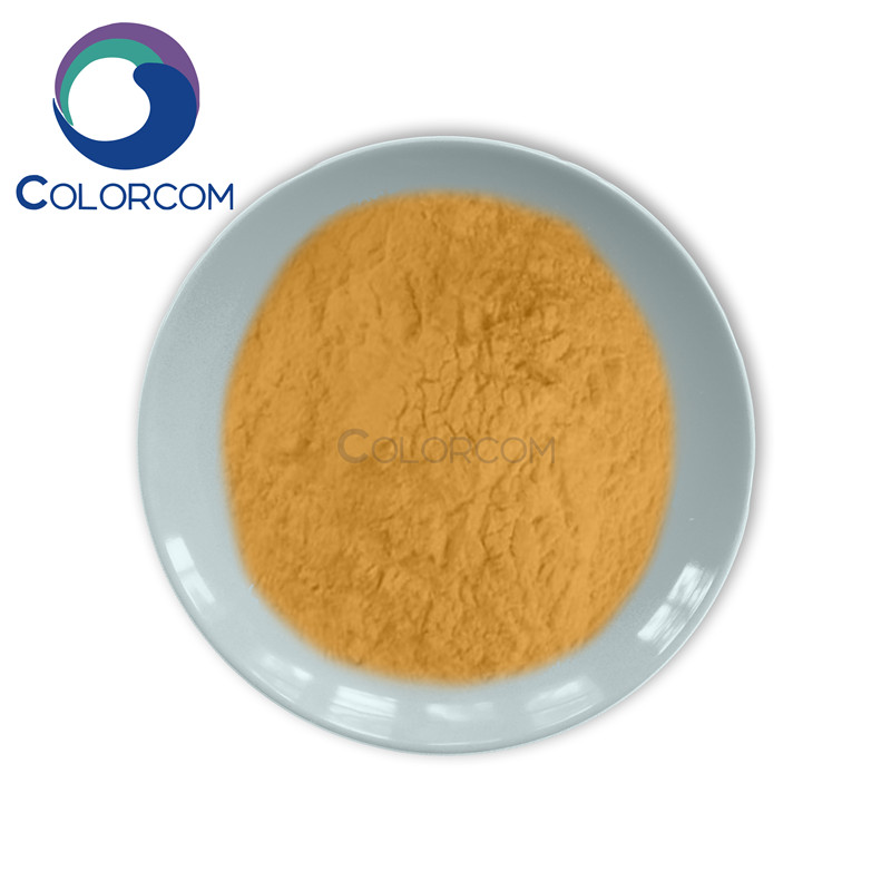 China High Quality Ferrous Sulfate(Monohydrate) Factory - Tribulus Terrestris Extract – Saponins – COLORKEM