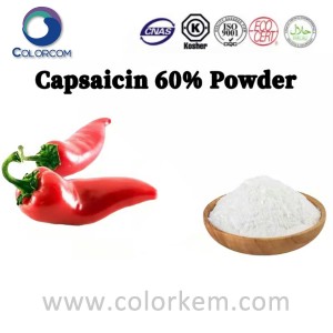 Capsaicina 60% in polvere |84625-29-6