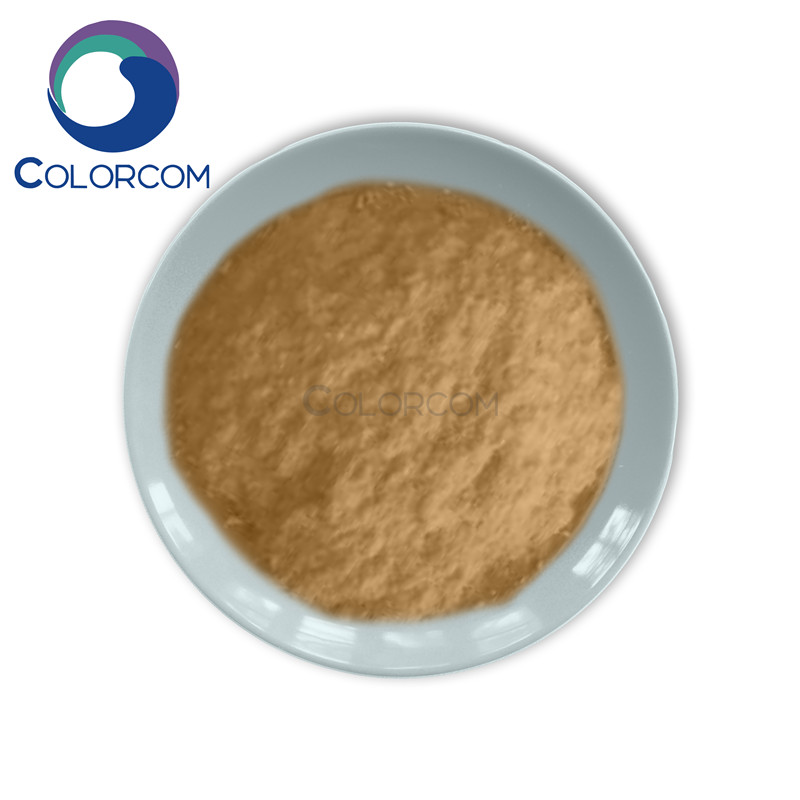 China High Quality Magnesium Ascorbate Factories - Milk Thistle Extract – Silymarin – COLORKEM