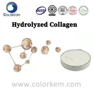 हाइड्रोलाइज्ड कोलेजन |92113-31-0