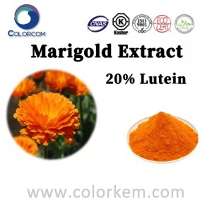 Marigold Extract Lutein | 8016-84-0