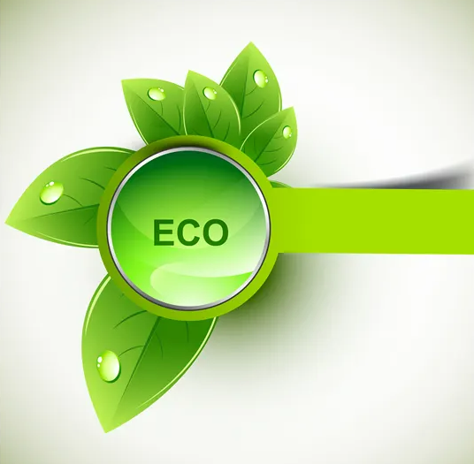 Eco-friendly principle production in Color-P