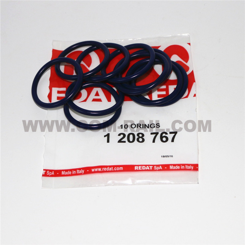 Factory wholesale Bosch Element Nozzle Delivery Valve - 1208767 Rubber ring – Common