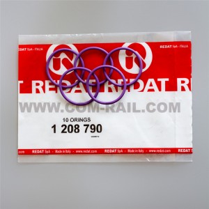 Kit di riparazione originale Redat 1208790 o ring