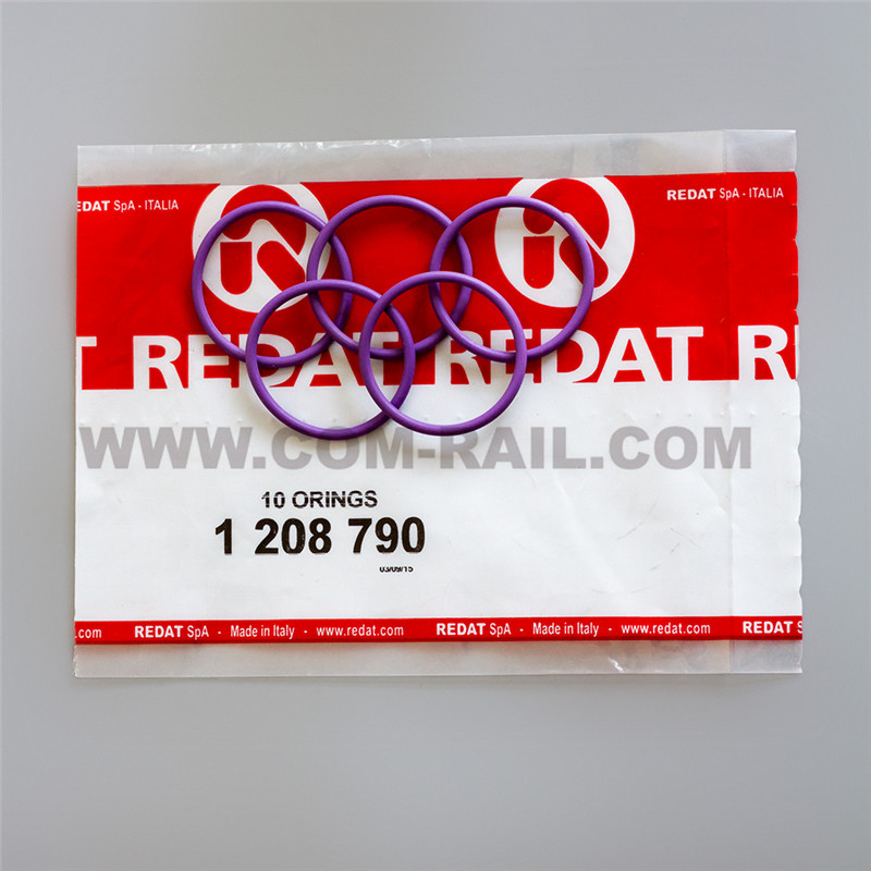 Manufacturer of Common Rail Injector Nozzle Diesel Injector/Nozzle - 1208790 o ring – Common