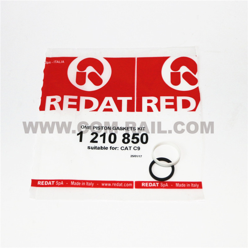 Leading Manufacturer for Fuel Injector Repair Kits - 1210850 Piston gaskets kit – Common