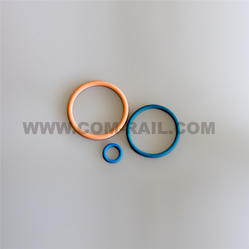 Professional China Nozzle Denso - 248-1394 Extenal seal kit – Common