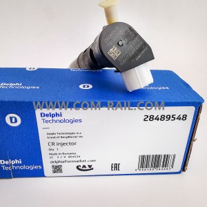 DELPHI onigbagbo idana injector 28489548,28239776 fun Diesel injector 28264951,GM25195089