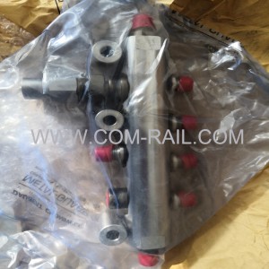 4383416 438-3416 Motoro C6.4 Fuel Rail E320D Common rail