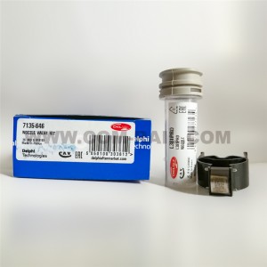 DELPHI orihinal na fuel injector repair kit 7135-646 para sa EJBR05102D