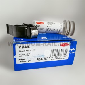 DELPHI original fuel injector repair kit 7135-646 for EJBR05102D