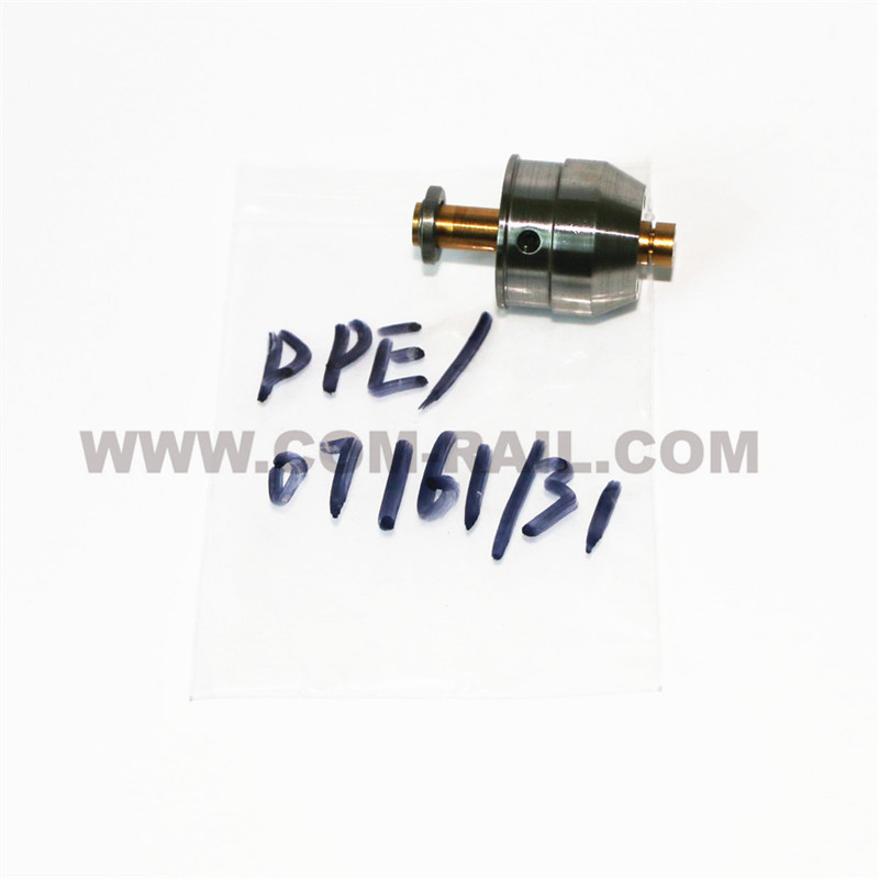 2021 China New Design Hino Injector - DPE07161/31 pump plunger – Common