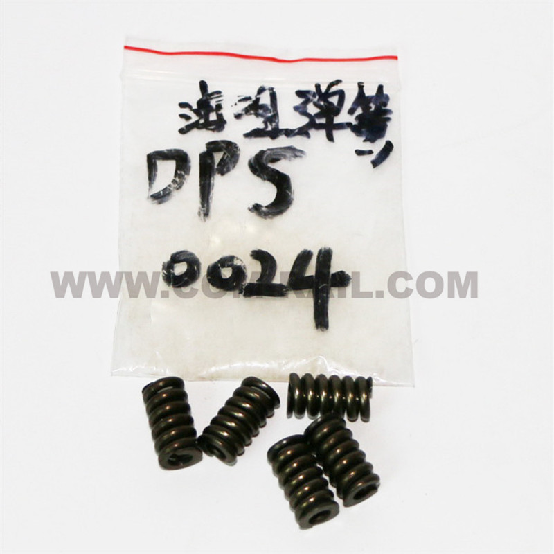 Manufacturer for Hilux Injector - DPS0024 nozzle spring – Common