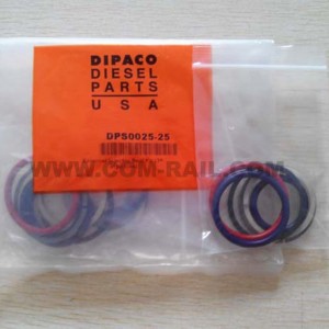 Lowest Price for New Common rail repair kit DPS0025 DPS0530 for HEUI 3126