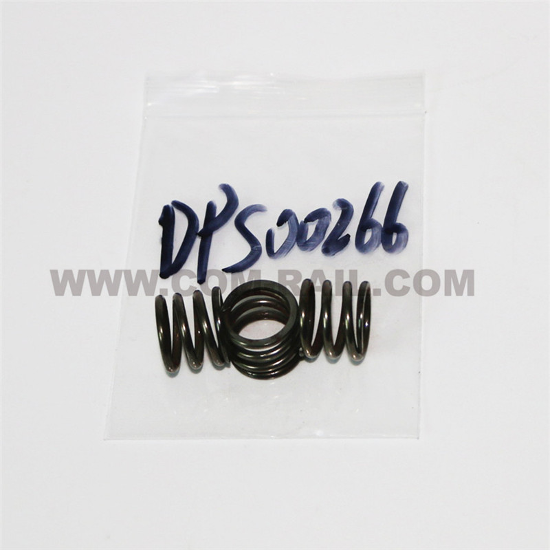 Factory selling Diesel Pump Parts Bosch - DPS00266 cone valve spring – Common