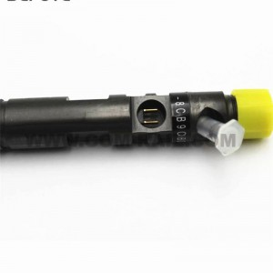 DELPHI originalni injektor goriva EJBR05301D za common rail injektor F50001112100011,EJBR06101D,R05301D,06101D