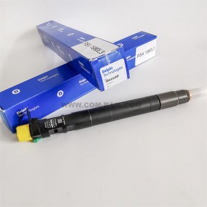 Injektor asli Delphi R00101D