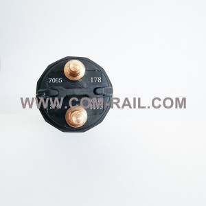 China 0445120178 common rail injector Yamz