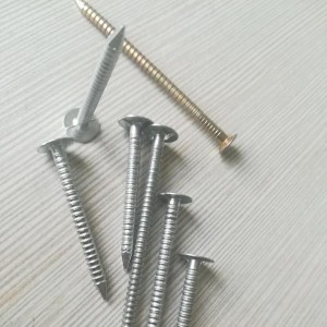 1-1/4 ” 11gauge big flat head galvanzied ring shank roofing nails