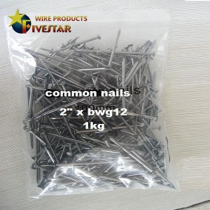 2” 12guage galvanized common nails 1kg/bag 25kg/carton