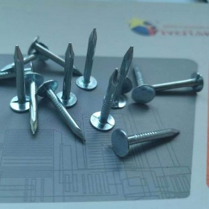 China supplier of galvanized roofing nails